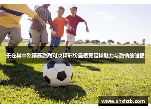 乐在其中欧预赛激烈对决精彩纷呈感受足球魅力与激情的碰撞