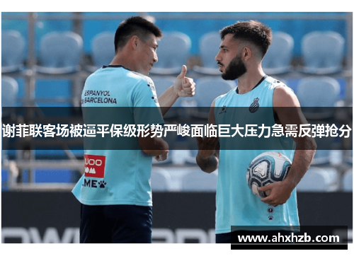 谢菲联客场被逼平保级形势严峻面临巨大压力急需反弹抢分