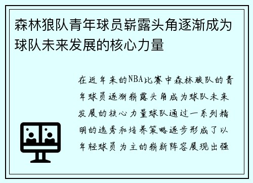 森林狼队青年球员崭露头角逐渐成为球队未来发展的核心力量