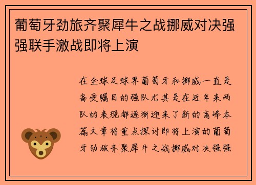 葡萄牙劲旅齐聚犀牛之战挪威对决强强联手激战即将上演